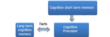 cognitive processing