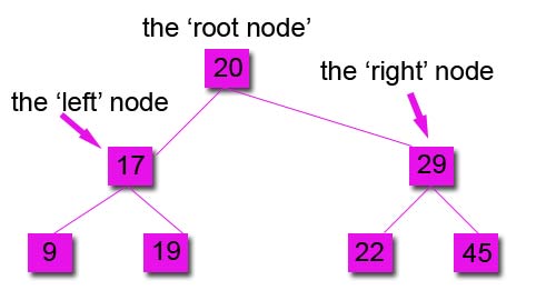 step 7 binary tree