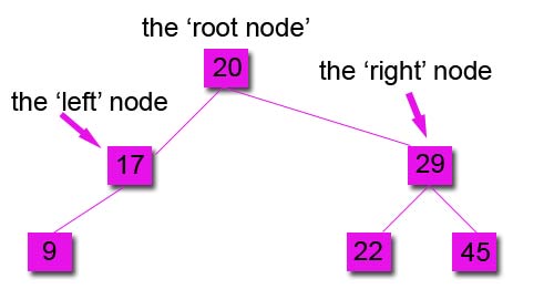 step 6 binary tree