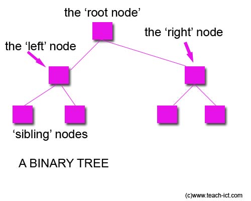The Binary Tree