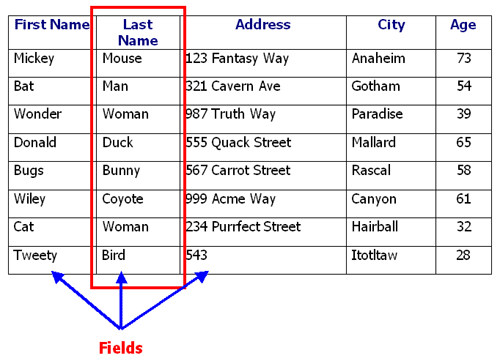 Terminological databases. GCSE ICT as Level. What data Type Match to fields from a Table?. Database fields